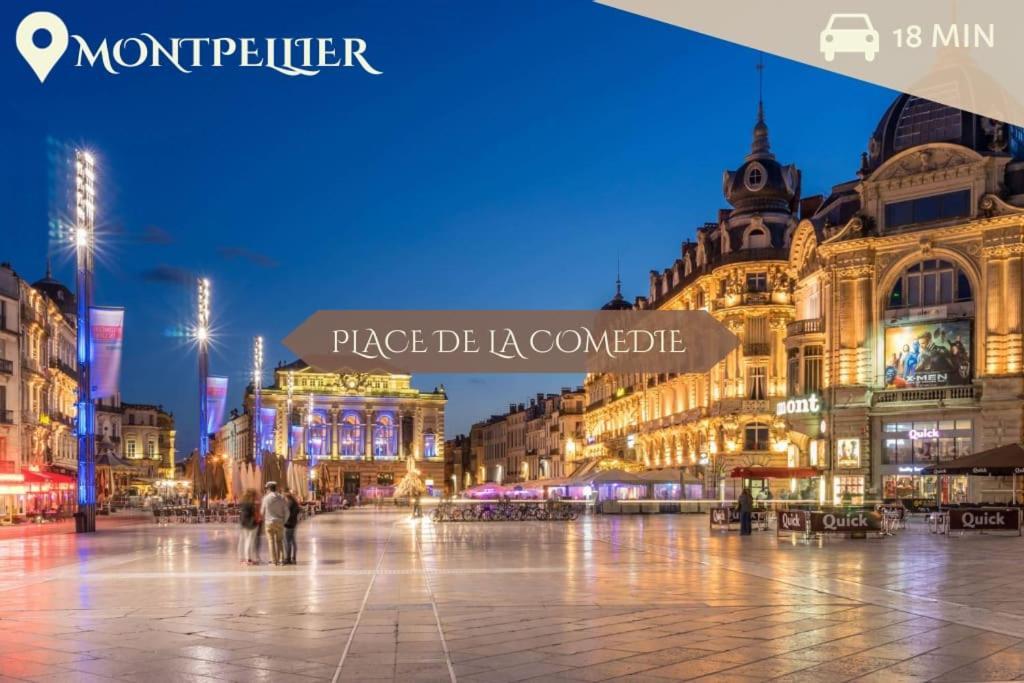 016- T2 Tropisme, Appart 1 Chambre,Clim,Wifi,Parking Montpellier Exterior foto